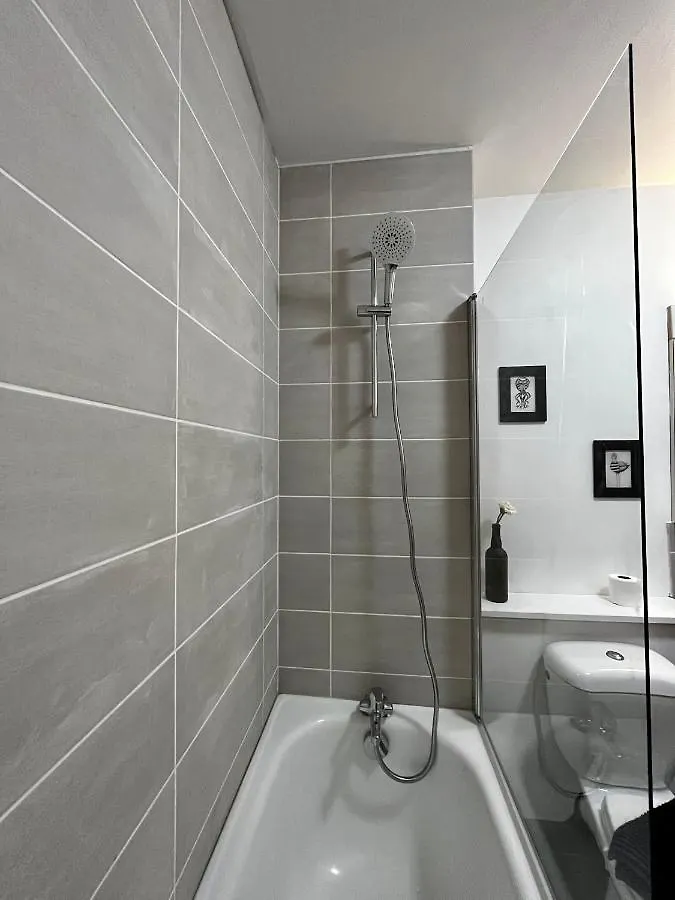 公寓 Superbe Appartement Confortable, Proche Centre Ville 雷恩 法国